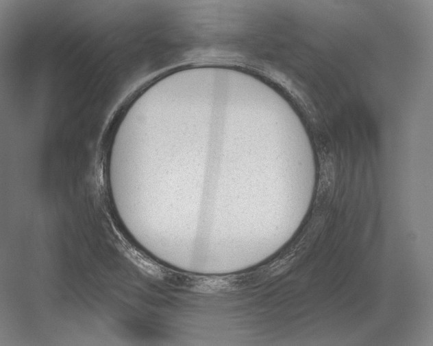 X0000081571462200702121409