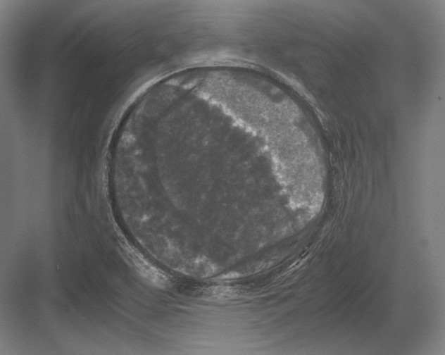 X0000081571463200702121409