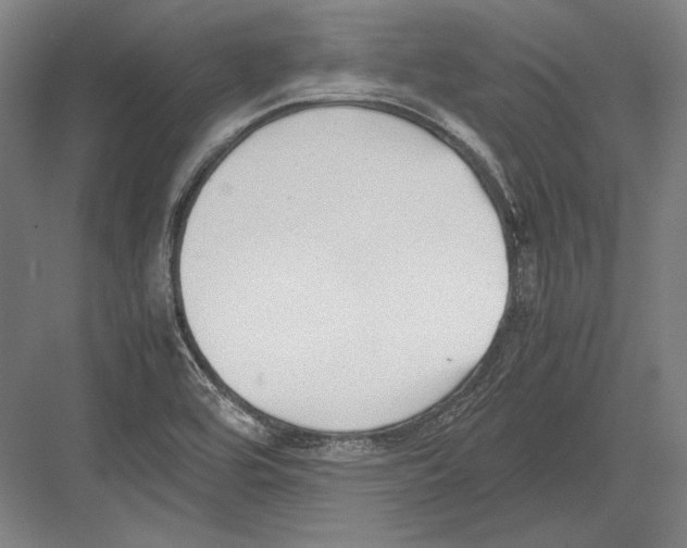 X0000081571464200702121409