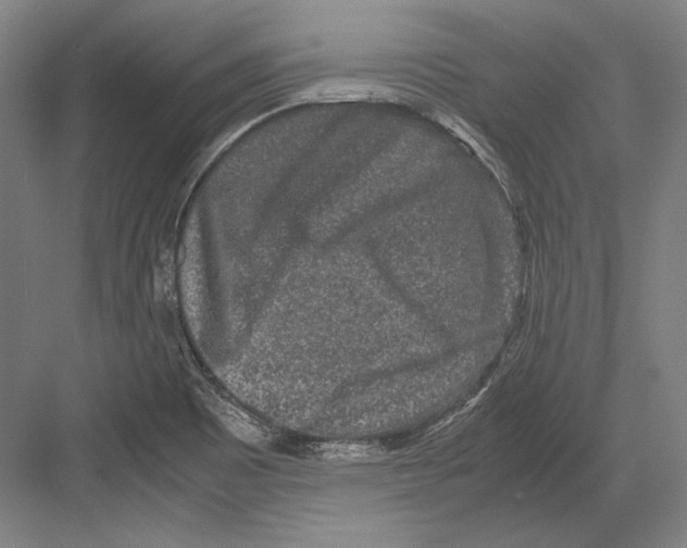 X0000081571465200702121409