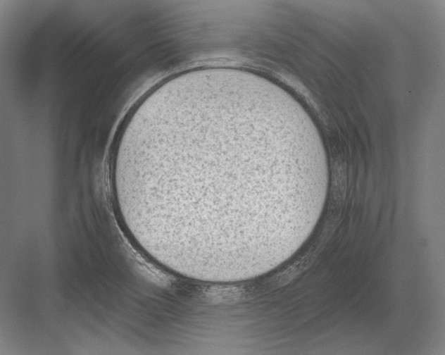 X0000081571466200702121409