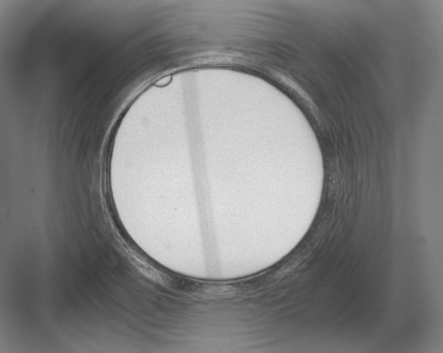 X0000081571467200702121409