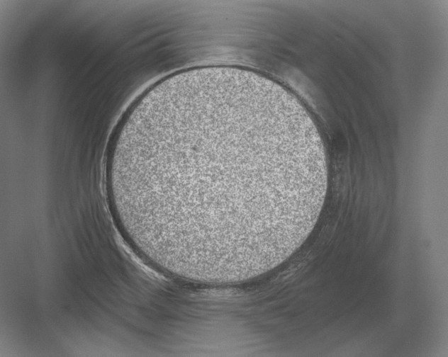 X0000081571468200702121409