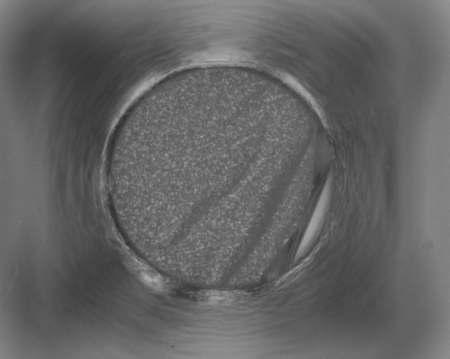 X0000081571469200702121409