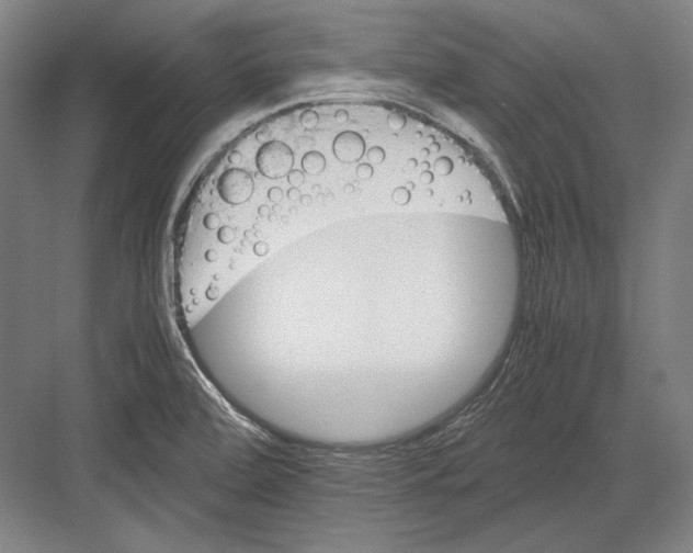 X0000081571472200702121409