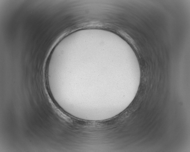 X0000081571475200702121409