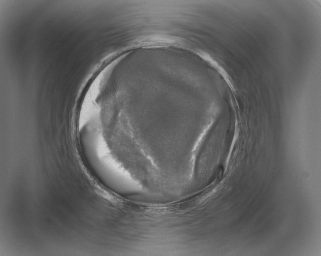 X0000081571477200702121409