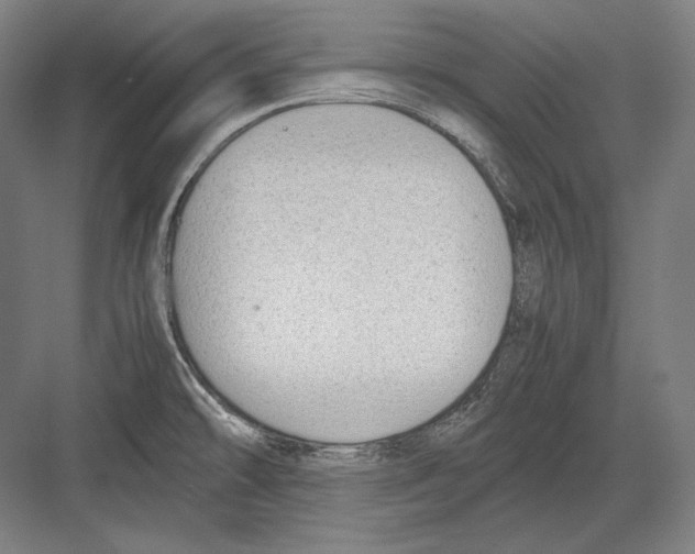 X0000081571478200702121409