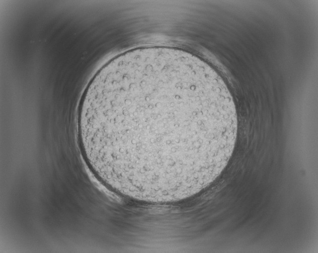 X0000081571479200702121409