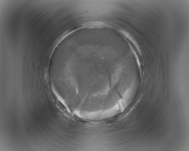 X0000081571481200702121409