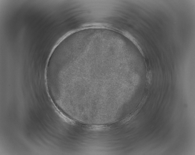 X0000081571482200702121409