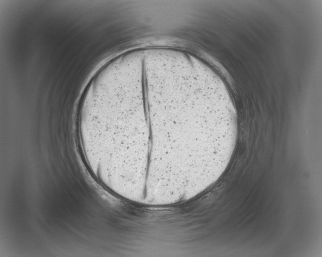 X0000081571483200702121409