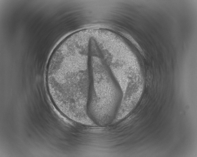 X0000081571484200702121409