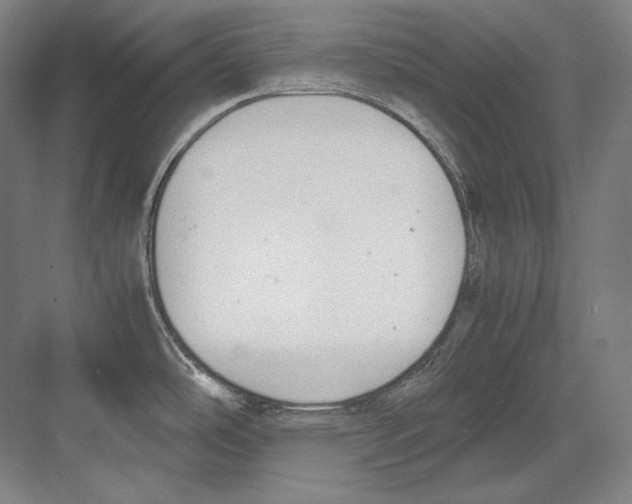 X0000081571486200702121409