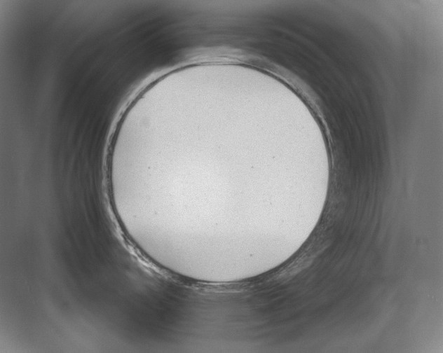 X0000081571488200702121409