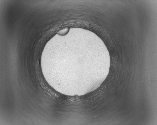 X0000081571489200702121408