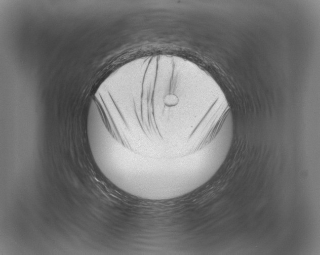 X0000081571492200702121408