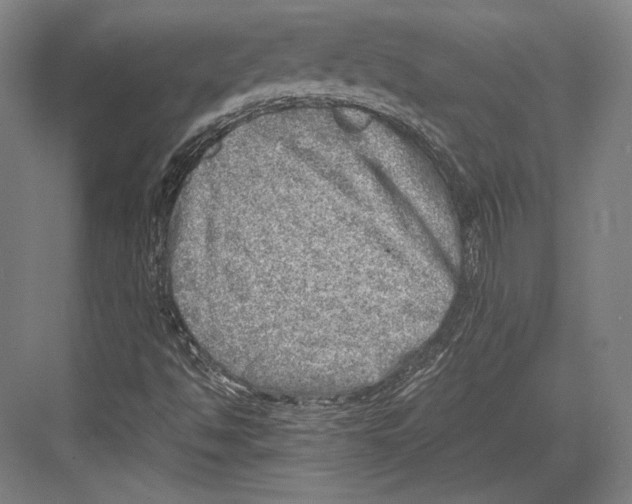 X0000081571494200702121408