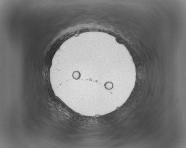 X0000081571495200702121408