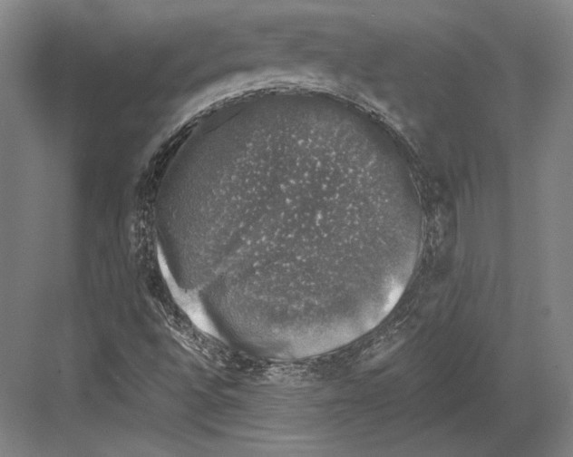 X0000081571496200702121408