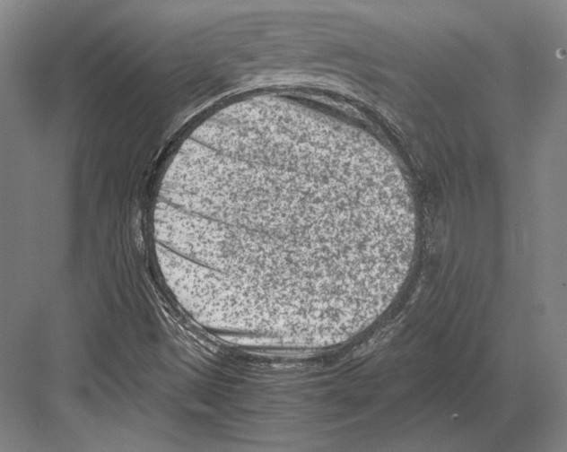 X0000081571497200702121408