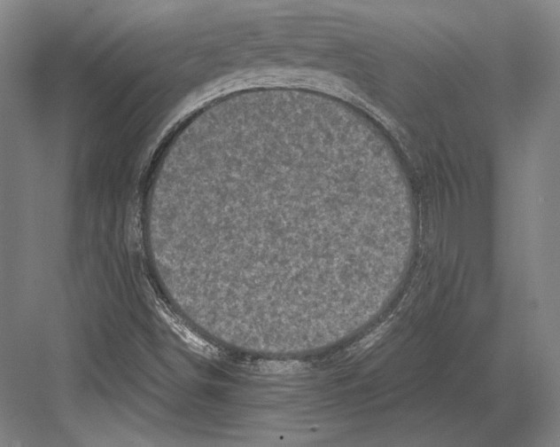 X0000081571498200702121408