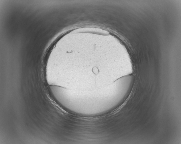 X0000081571502200702121408