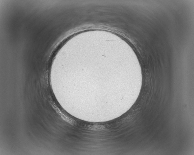 X0000081571503200702121408