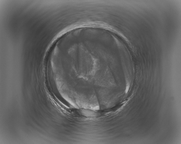 X0000081571506200702121408