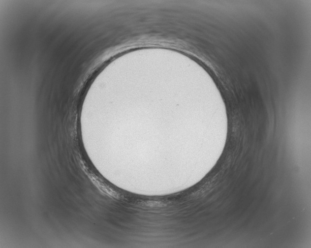 X0000081571507200702121408