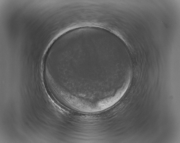 X0000081571508200702121408