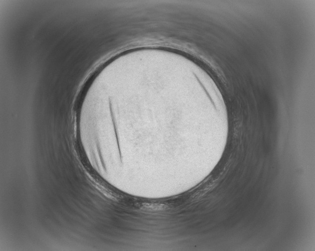 X0000081571509200702121408