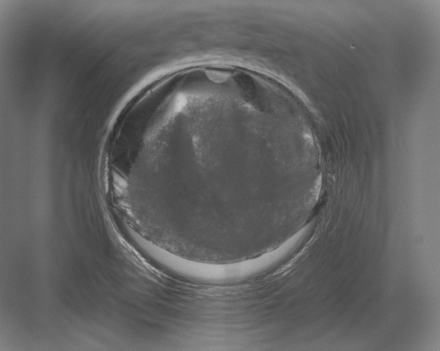 X0000081571510200702121408