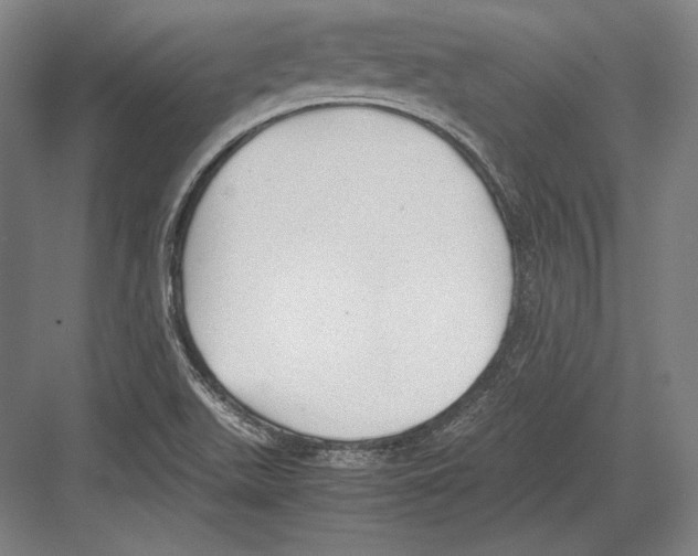 X0000081571511200702121408