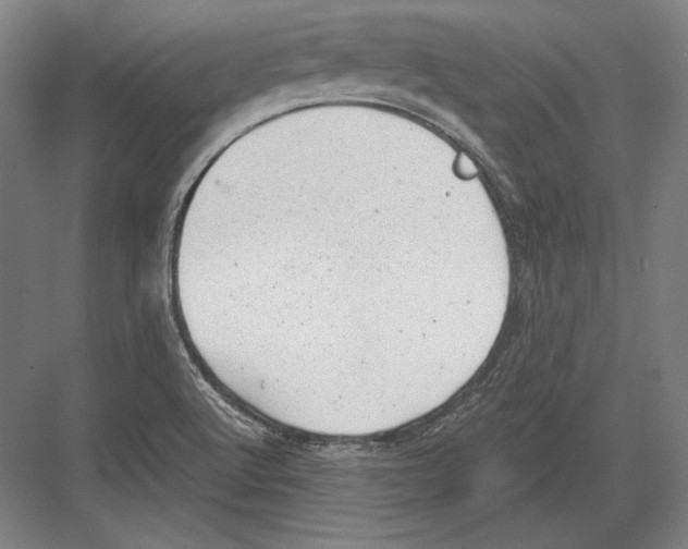 X0000081571512200702121408