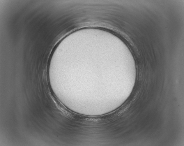 X0000081571513200702121408