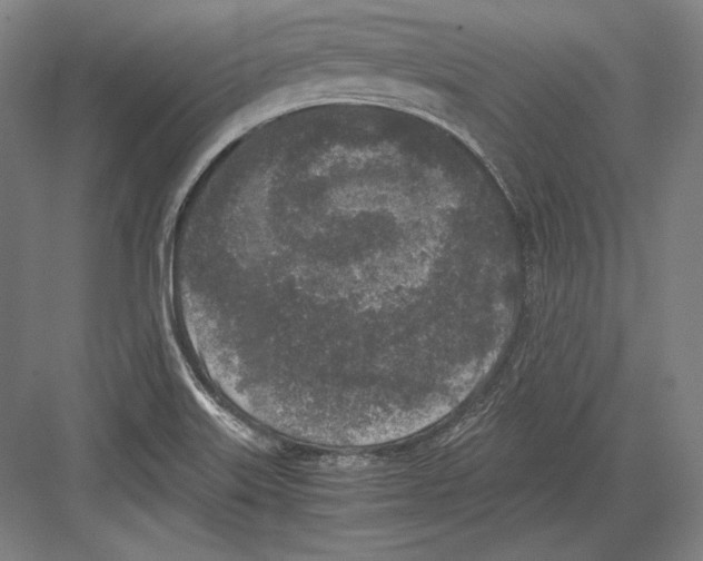 X0000081571515200702121408