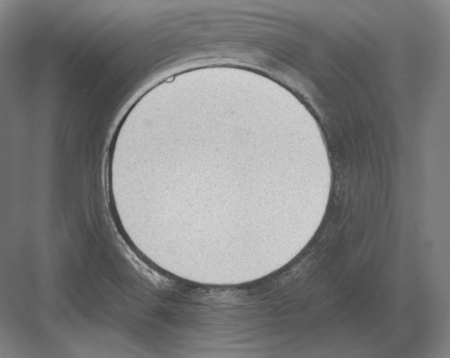 X0000081571516200702121408