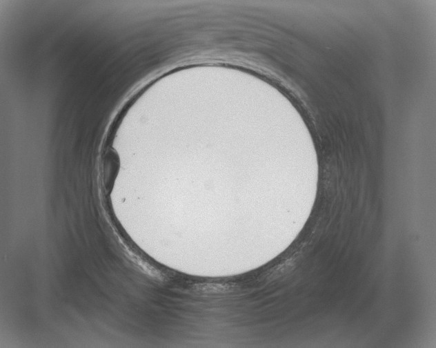 X0000081571517200702121408