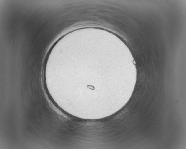 X0000081571518200702121408