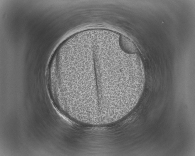 X0000081571519200702121408