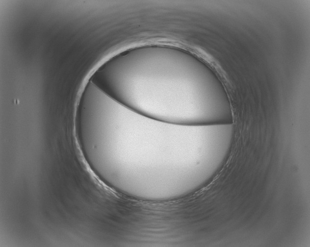 X0000081571520200702121408