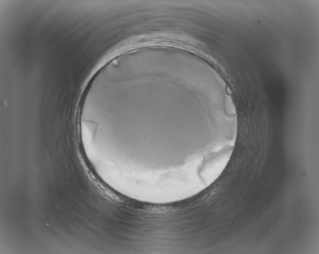 X0000081571522200702121408