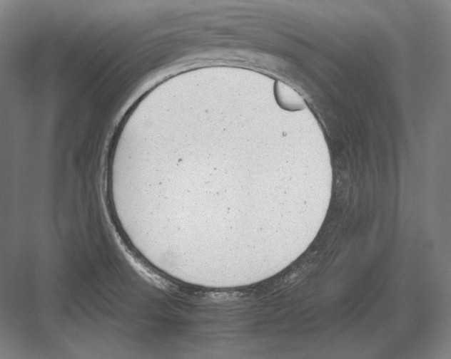 X0000081571523200702121408