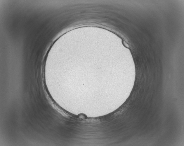 X0000081571526200702121408