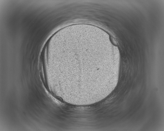 X0000081571527200702121408