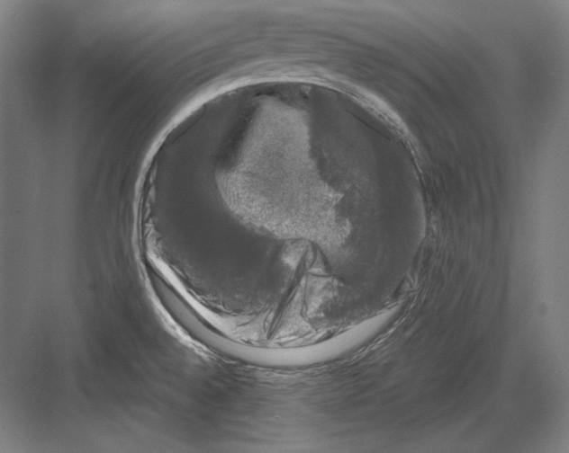 X0000081571528200702121408