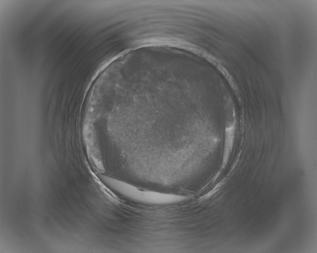 X0000081571529200702121408