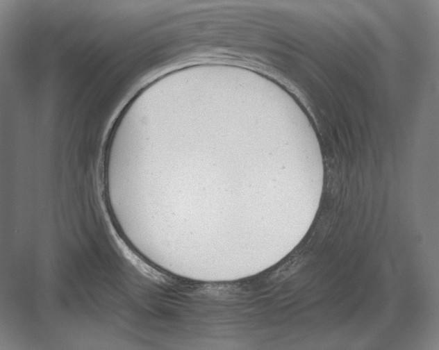 X0000081571531200702121409