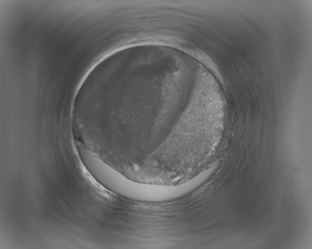 X0000081571532200702121409